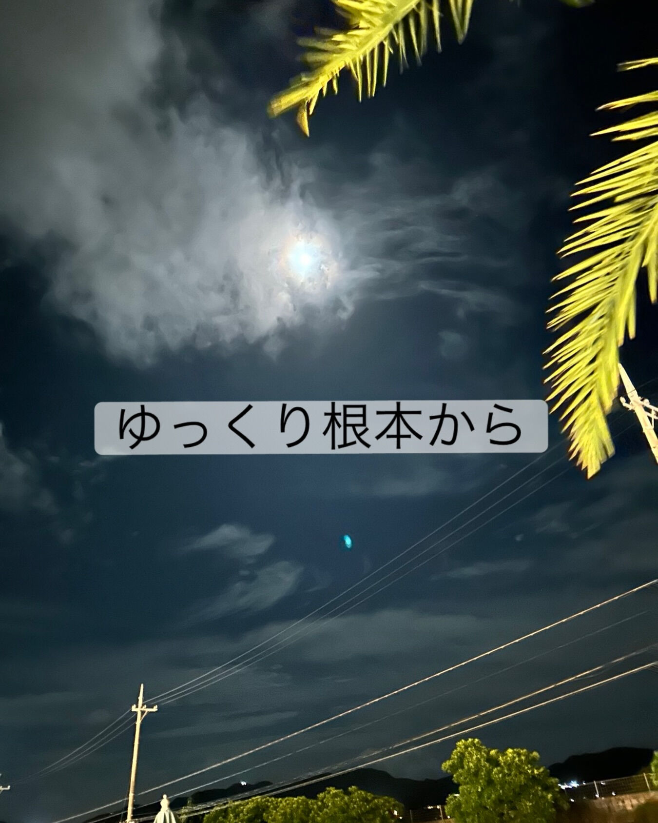 今日も静かに営業しています