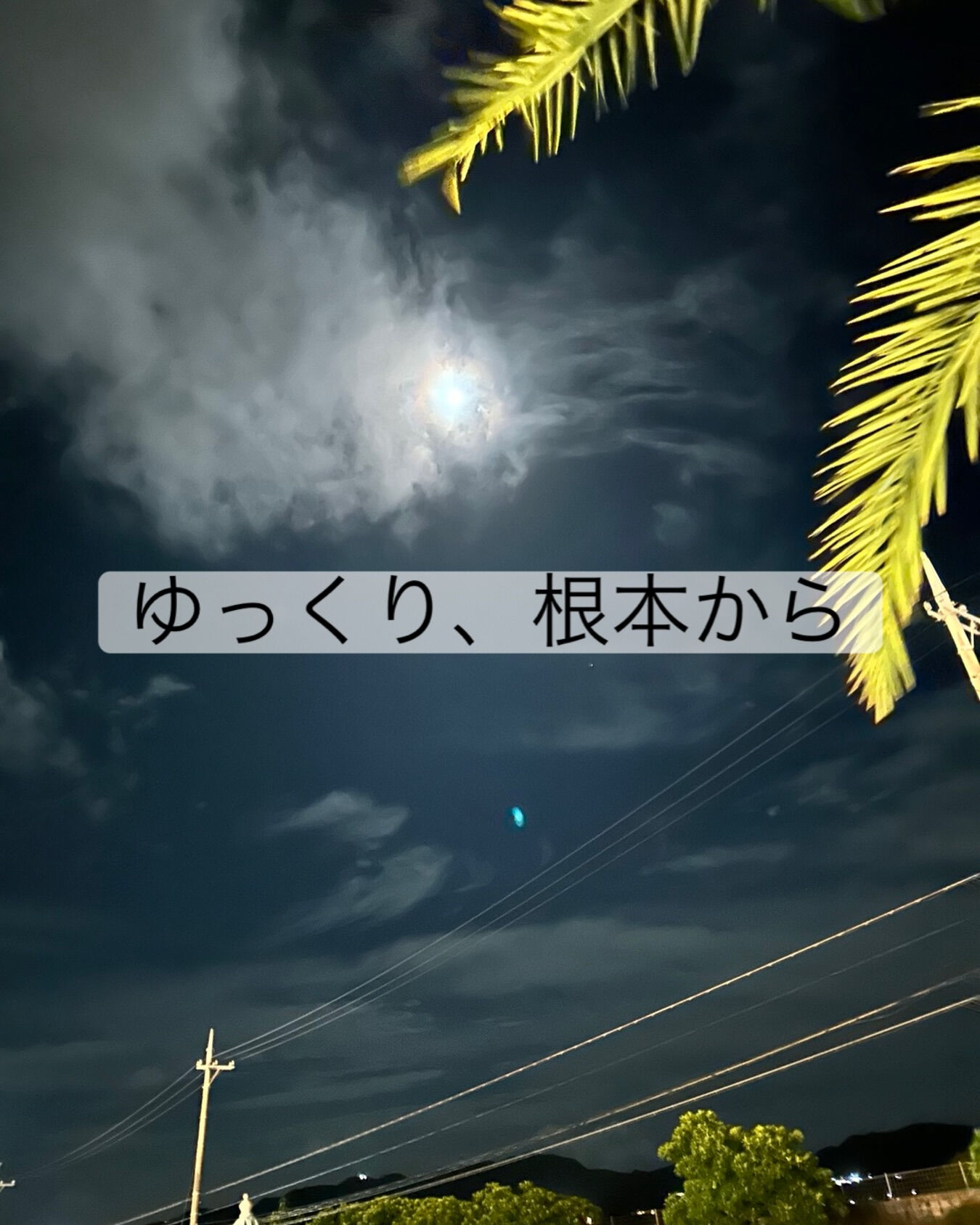 今日も静かに営業しています