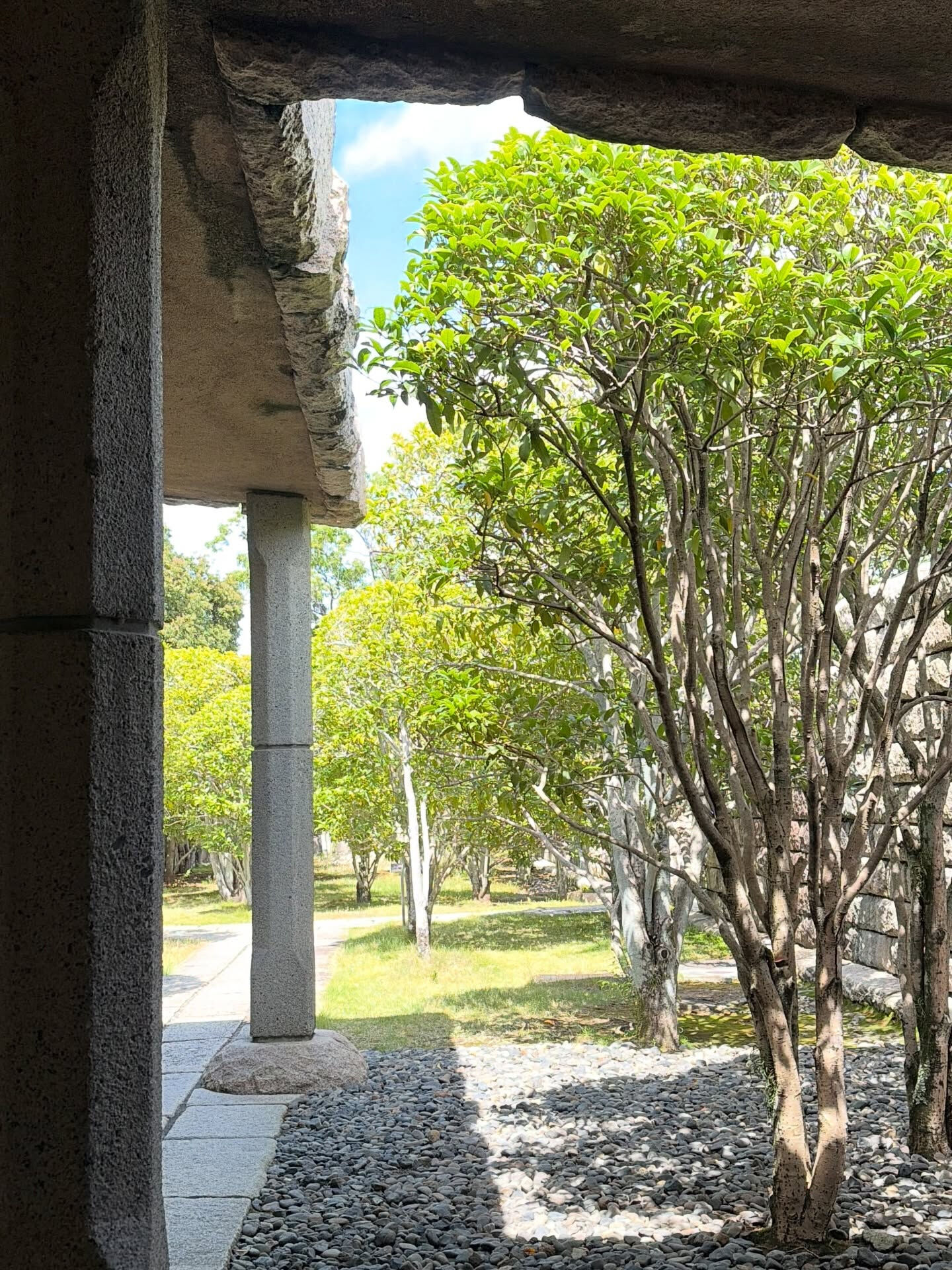 静岡市駿河区中田で髪を育て元気にそして笑顔になっていただける